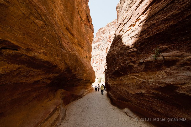 20100412_121024 D3.jpg - Petra gorge (siq)